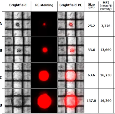 Figure  2.  Selection  and isolation  of  single  cells  by  DEPArray  technology.  Image  of single, trapped 