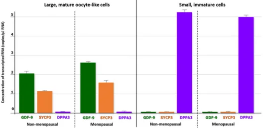 Figure 3. Quantitative evaluation (copies/µL) of gene expression in large OLCs and small cells, both Ddx4 + (QuantaSoft Software)