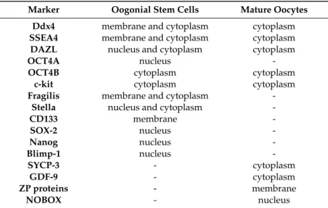 Table 1. Cell locations of shared and independently expressed molecular markers by OSCs and mature oocytes [ 10 , 13 ].