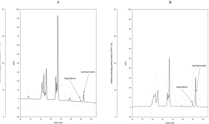 Fig 2. Flavonoid profiles of ESE. High Performance Liquid Chromatography (HPLC) profiles of ethyl acetate-soluble extracts (ESE) from cladode pulp (CP) without bacterial inoculum and chemically acidified control (CP-CT) (A) and CP fermented with Lactobacil