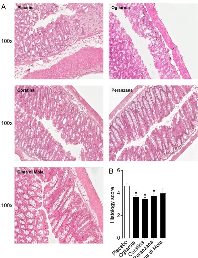 Figure 3. Apulian EVO cultivars treatment improves intestinal morphology in DSS-treated mice