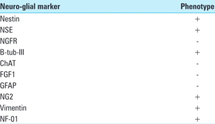 Table 3: Neuro‑glial pattern expression of spinal cord  specimens at the injury sites
