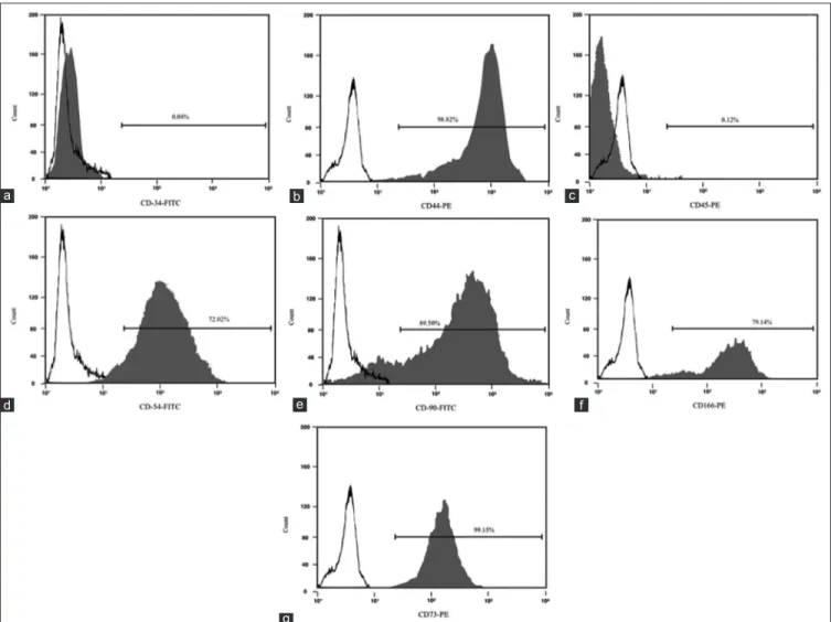 Figure 3: FACS immunophenotype of MSCs for CD 34 (a), CD 44 (b), CD 45 (c), CD54 (d), CD90 (e), CD166 (f), CD73 (g)