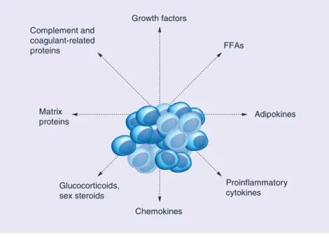 Figure 1. Adipocyte secreted factors with a role in prostate cancer development.  FFA: Free fatty acid.