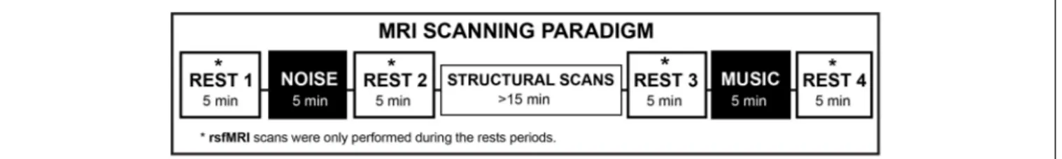 FIGURE 1 | Experimental rsfMRI paradigm. The washout condition was executed during the “Structural Scans” period