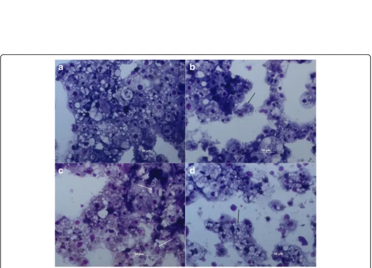 Fig. 2 IRE/CTVM19 cells after treatment with 0.5% DMSO (a), 150 μM amitraz (b), 150 μM fipronil (c) and 150 μM permethrin (d), stained with modified May Grünwald-Giemsa (Diff-Quik) stain