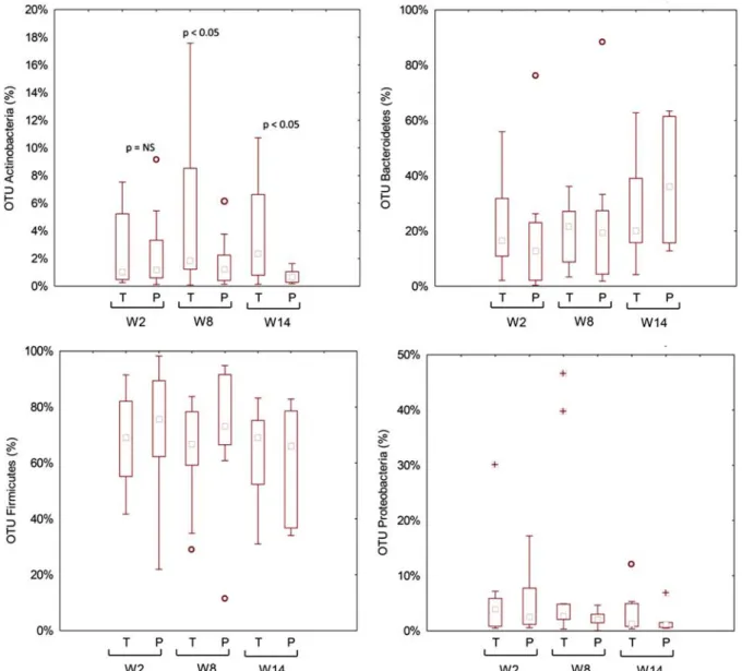 FIGURE 3. Relative abundance of the most relevant metabolically active bacterial phyla found in feces of the fecal samples of celiac disease patients with irritable bowel syndrome at baseline (W2), after 6 weeks (W8) of treatment with probiotics or placebo
