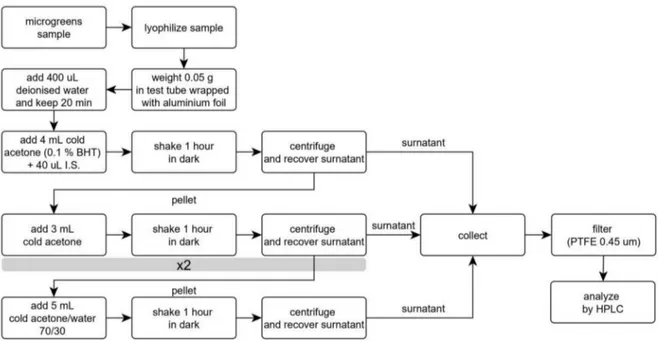 Figure 5. Flowchart of the extraction protocol for the analysis of carotenoids in microgreens