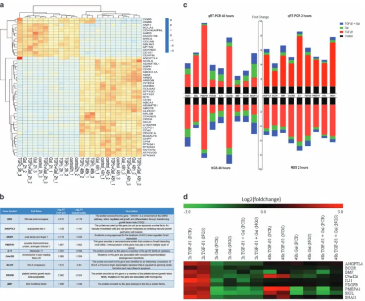 Figure 1 NGS data in HLF cell line from MACE and validation by qRT-PCR. Three replicates were performed for each condition