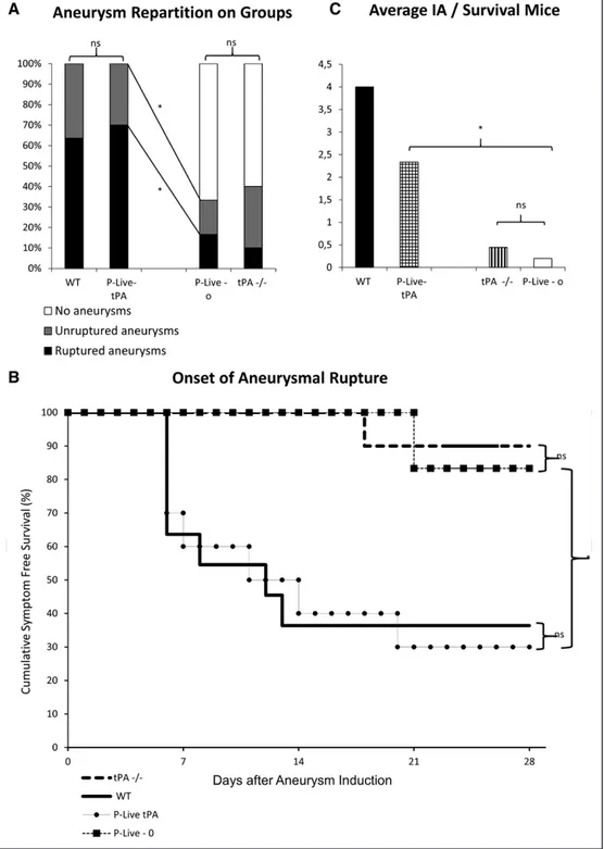 Figure 4.  Vascular tPA (tissue-type plasminogen activator) contributes to aneurysms formation and rupture