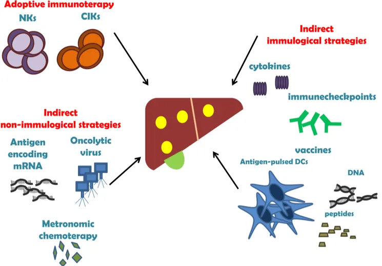 Figure 2: The three main strategies of HCC immunotherapy
