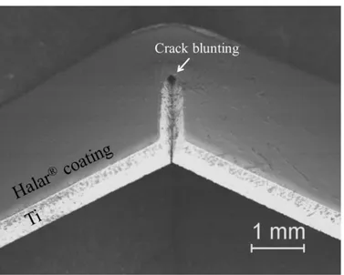 Figure 9. SEM micrograph of the crack growth in a Halar ® -coated Ti specimen. (Reprinted with 