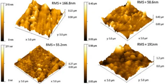 Figure 3. 3D atomic force microscopy (AFM) images for Ti/24PDA and Ti/72PDA. Below, Ti/24PDA– PPy and Ti/72PDA–PPy