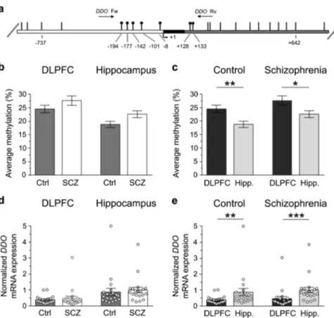 Fig. 3 DDO gene methylation and DDO mRNA expression in the dorsolateral prefrontal cortex (DLPFC) and hippocampus (Hipp.) of schizophrenia-affected patients (SCZ) and control (Ctrl) subjects