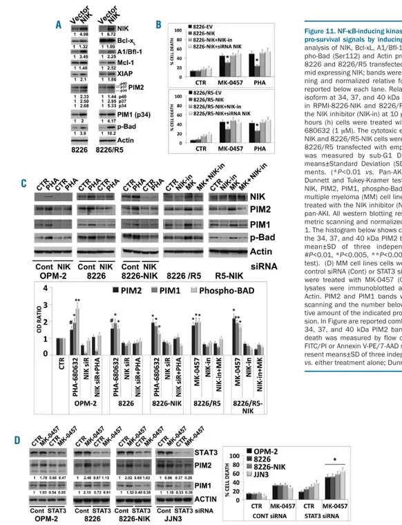 Figure 11. NF-κB-inducing kinase (NIK)   accumulation promotes pro-survival  signals  by  inducing  PIM  kinases