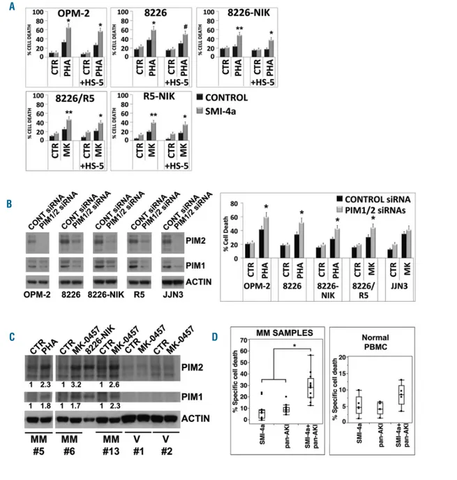 Figure 12. Functional inhibition of PIM kinases enhances the anti-myeloma effects of Aurora inhibitors