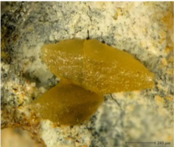Fig. 2. Optical image of yellow-honey wulfenite protruding from matrix.