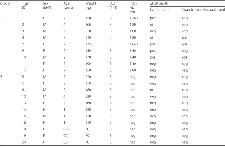Table 1 Data on sex, age, body weight, body condition score (BCS), serological and molecular results for Leishmania infantum of the 9 and 11 tigers enrolled in group A (L