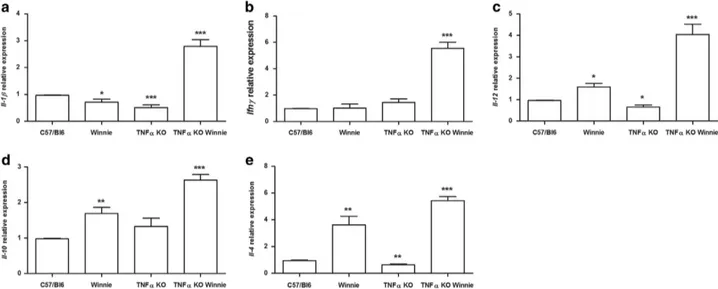 Figure 3 TNF α KO Winnie mice show an increased Th1 signature at the molecular level. mRNA was extracted from the colon of all the 5-week-old mice genotypes