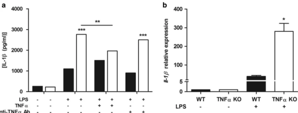 Figure 6 IL-1 β upregulation in TNFα KO BMDCs. BMDCs were cultured from WT (black bars) and TNFα KO (white bars) mice, treated with TNFα and anti-TNFα antibody at day 7 and concomitantly exposed to 1 μg/ml of LPS