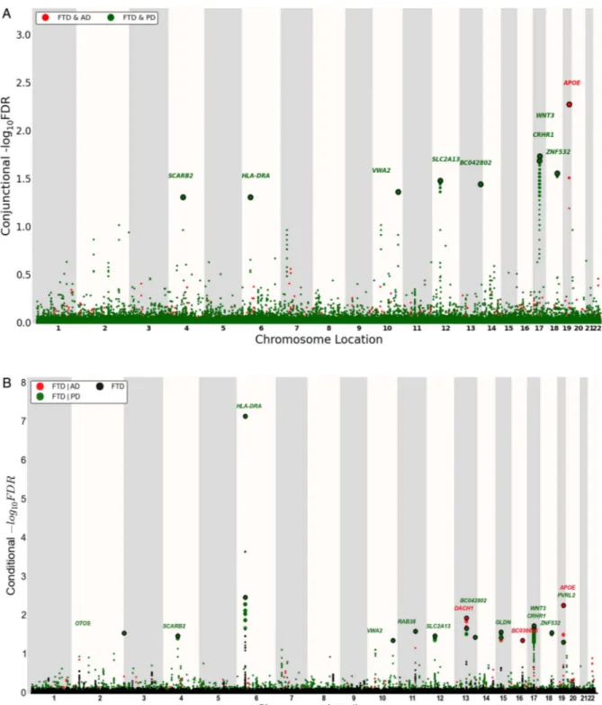 Figure 2 ‘Conjunction’ (A) and ‘conditional’ (B) Manhattan plots of conjunction and conditional –log 10 (FDR) values for FTD (black) and FTD given