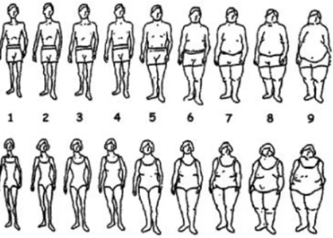 Figure 1. Contour drawing rating scale. 