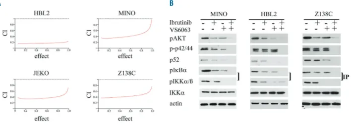 Figure 7. Focal adhesion kinase (FAK) inhibition acts highly synergistic with ibrutinib treatment