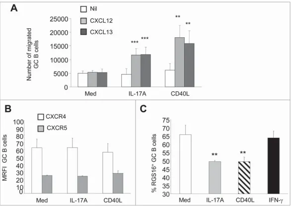 Figure 3. Effects of IL-17A receptor triggering in human freshly isolated tonsil (B)cells