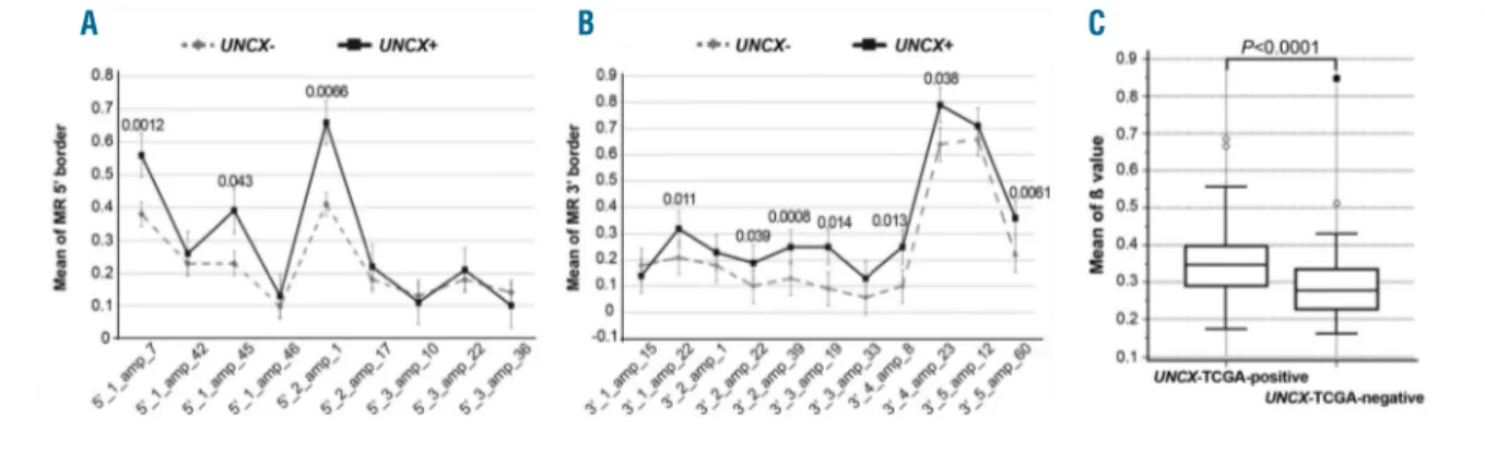 Figure 2. DNA methylation levels at UNCX canyon in our acute myeloid leukemia (AML)  patient cohort and TCGA samples
