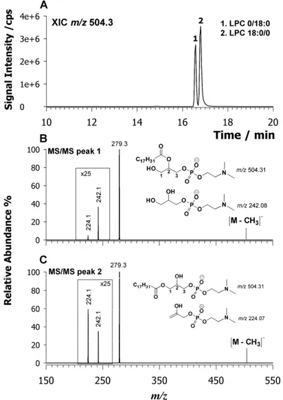 Figure 3. XIC chromatogram of LPC 18:2 centered at m/z 504.3 (A) identified in the lipid extract of L