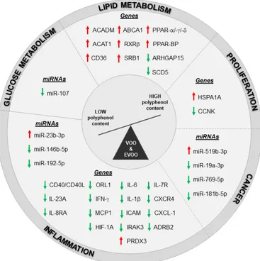 Figure 1. Transcriptomic changes induced by high polyphenols VOO and EVOO intake in healthy  and unhealthy population