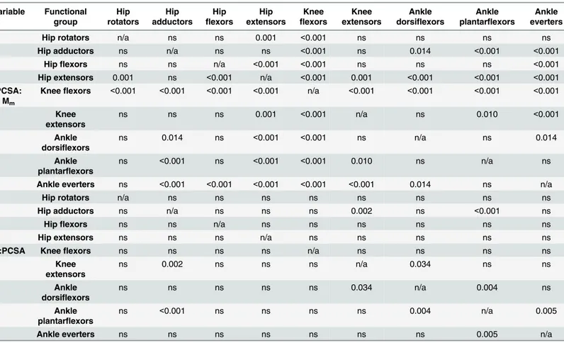 Table 7. Statistically significant differences between muscle functional groups in terms of architectural properties (PCSA:Mm and Lf:PCSA)