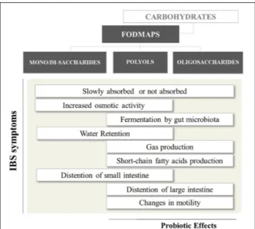 FIGURE 1 | Short-chain carbohydrates and their relevance to gut health 1 . 1 Bars more shifted to the left or right = effects attributed mostly to