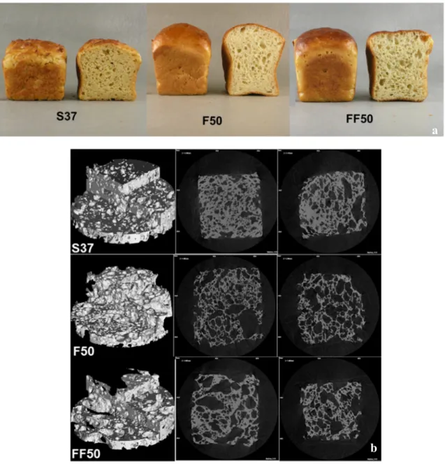 Figure 1. a)  Digital images of soy bread (S37), faba bread (F50), fermented faba bread (FF50)