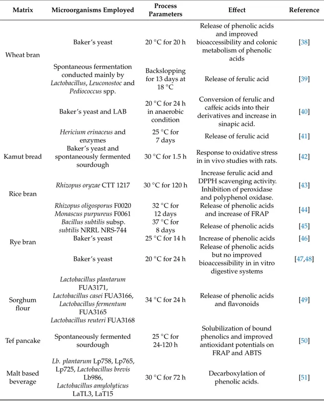 Table 1. Main effect of polyphenols metabolism on the antioxidant activity of fermented cereals and legumes.