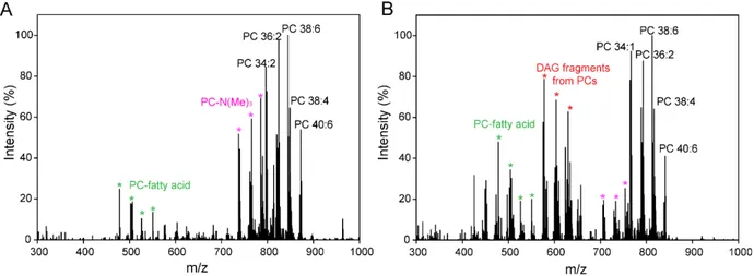 Figure S1. Representative average MALDI-MSI spectra. A typical mass spectrum for mouse liver tissue 