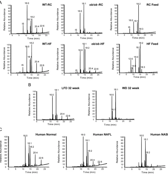 Figure S2. Representative GC-MS chromatograms. Total fatty acids (FAMEs) were compared for wild 