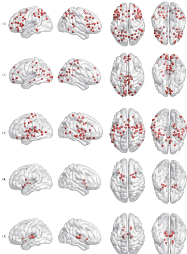 Figure 3: The five group level functional communities detected in SYNC networks. In each row, a single community is shown in four brain views (left side, right side, top side, and bottom side).
