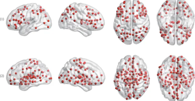 Figure 4: The two group level functional communities detected in Pearson’s networks. In each row, a single community is shown in four brain views (left side, right side, top side, and bottom side).