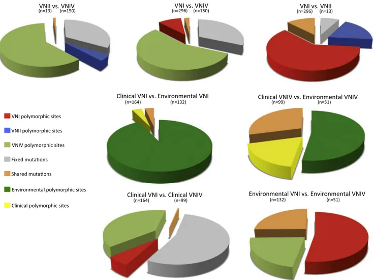 Fig. 6. Inter-population genetic analysis inferred by DNAsp v5.10.1. In each comparison four parameters are represented with different colors: percentage of fixed