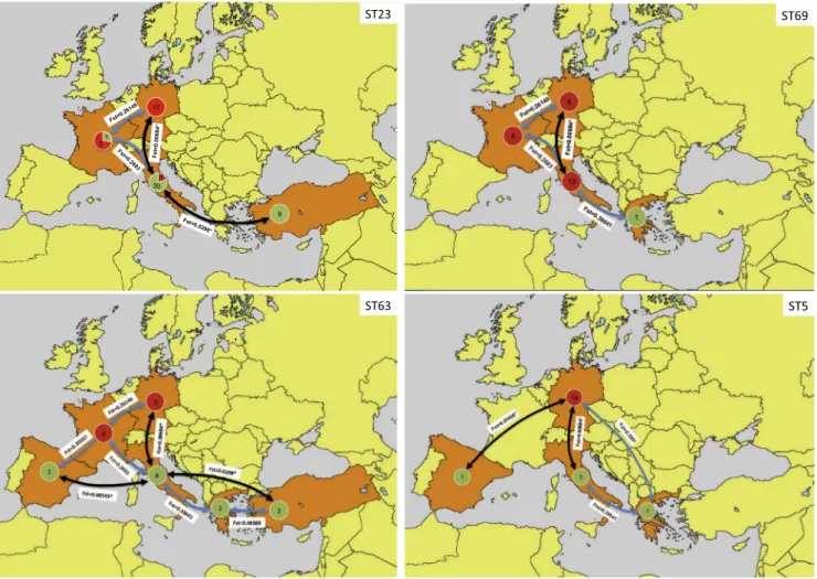 Fig. 8. Maps representing the main genetic flux directions between European and Mediterranean countries