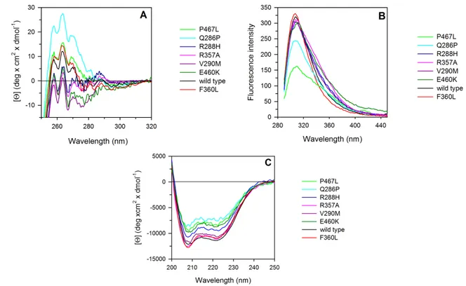 Figure 3. Spectroscopic properties of PPARγ wild type and variants. (A) Near-UV CD spectra were 