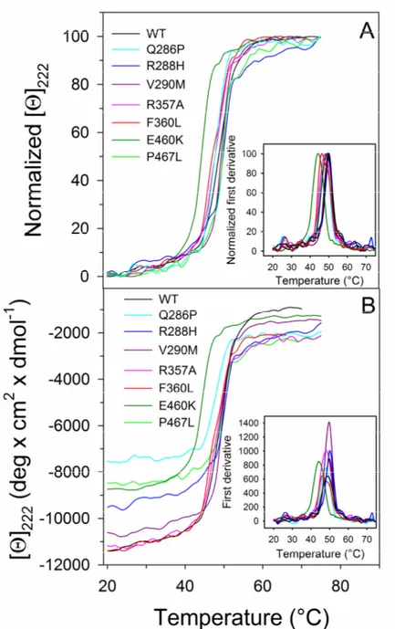 Figure 4. Thermal unfolding transition of PPARγ wild type and variants. Wild type and variants 