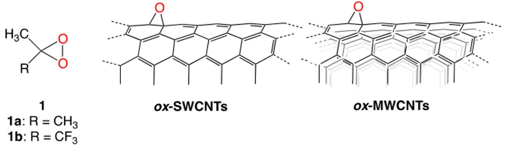 Figure 1. Chemical structure of 1, ox-SWCNTs and ox-MWCNTs. 