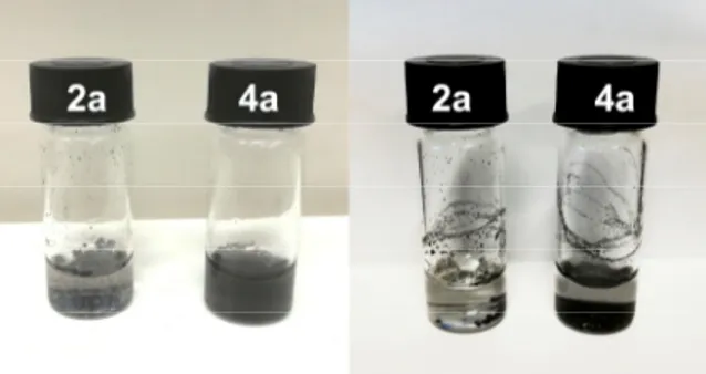 Figure 7. Suspensions of 2a and 4a in H 2 O (1 mg mL −1 ) just after sonication (left panel) and 10 min 