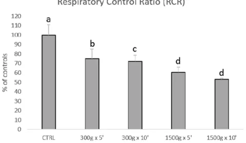 Figure  3.  Bar  graph  showing  the  effects  of  different  centrifugation  protocols  on  the  Respiratory  Control Ratio (RCR) of equine spermatozoa