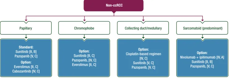 Figure 4. Systemic ﬁrst-line treatment of non-ccRCC. Non-ccRCC, non-clear cell renal cell carcinoma.