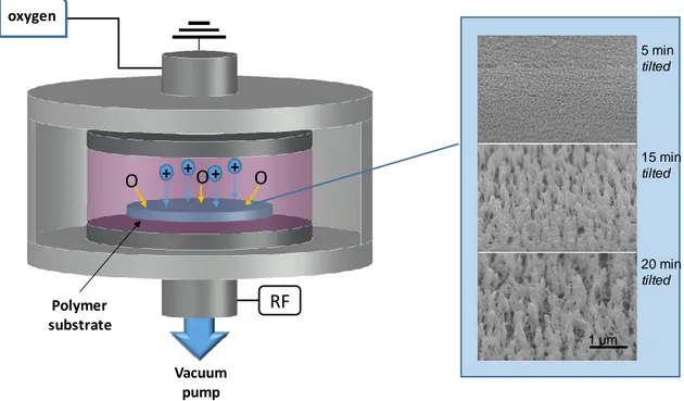 Figure  1.  A  sketch  illustrating  a  typical  plasma  nano-texturing  process  of  a  polymer