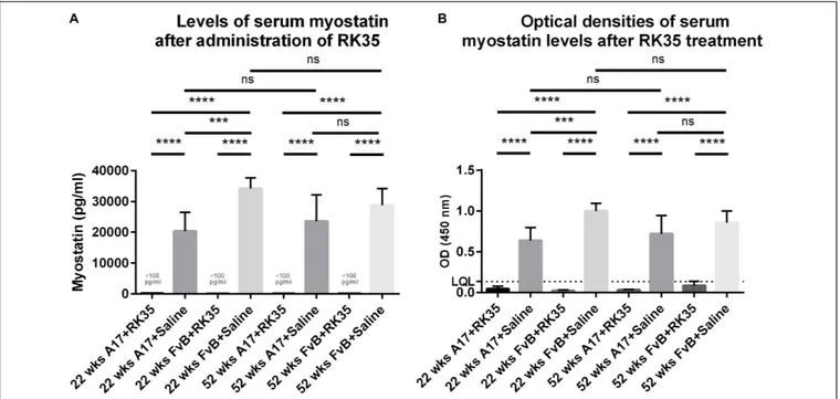 FIGURE 4 | Treatment with RK35 significantly reduces levels of serum myostatin: Serum samples from mice (n = 5) were subject to a weekly regimen of either saline or the anti-myostatin RK35 antibody i.p