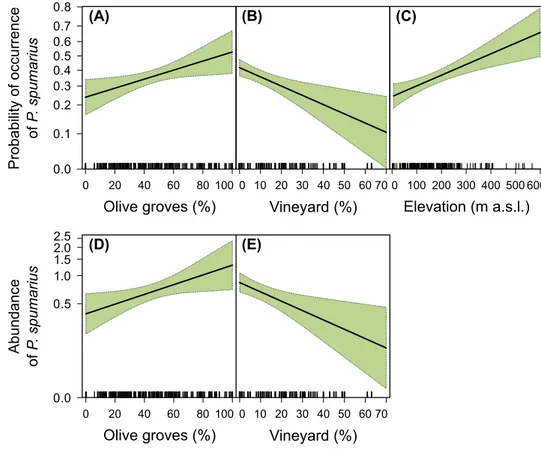 Fig. 2    Probability of occurrence  (a–c) and abundance (d–e) of  Philaenus spumarius (per trap  per sampling round) in response  to the proportion of olive groves  and vineyards in the landscape  (125-m scale) and to elevation